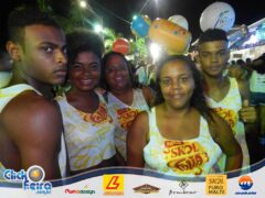 Bloco Skol Folia